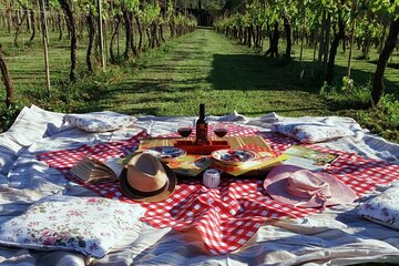 Lucca: self-guided bike tour + picnic in the vineyards