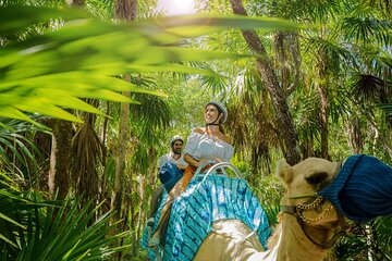 Camel Expedition and Beach Club In Riviera Maya