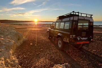 4 x 4 experience around Puerto Madryn