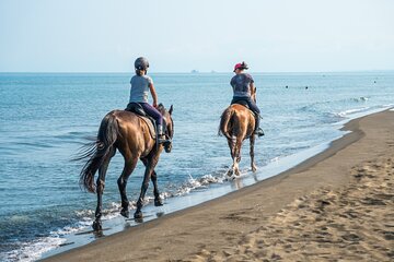 Horse Riding for 2 Hours on the Sea and Desert - Hurghada