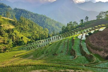 Sapa Trekking 2 Days 1 Night Transfer By Sleeper Bus