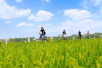 Ninh Binh Full-Day Tour from HANOI (Group of 9 with Best Care)