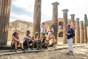 Skip the Line Pompeii Guided Tour from Naples