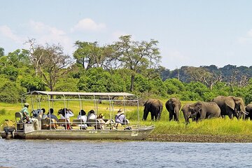 Chobe Day Trip From Victoria Falls