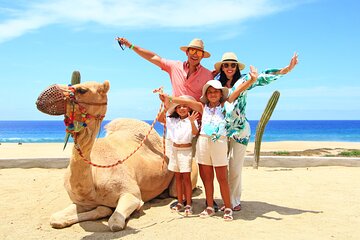 Camel Ride Experience in Los Cabos with Pick up and Lunch