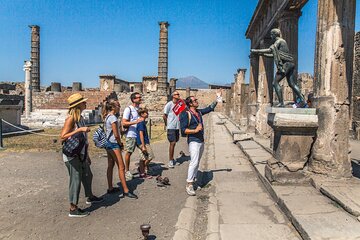  Skip the line Private Pompeii and Herculaneum Tour with Local Guide