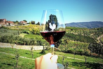 Chianti & Supertuscan Private Tour 2 Wineries with light lunch