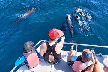 Half-Day Dolphin Watching and Snorkeling in Samara