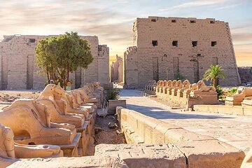  Full Day Tour to Luxor from Sharm El Sheikh by Flight