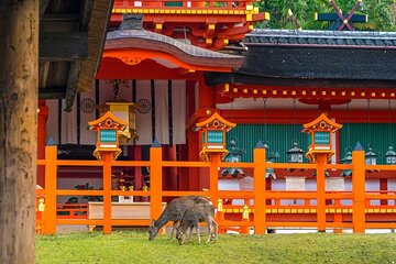 Private Customized 3 Full Days Tour Package: Discover Kyoto, Arashiyama and Nara