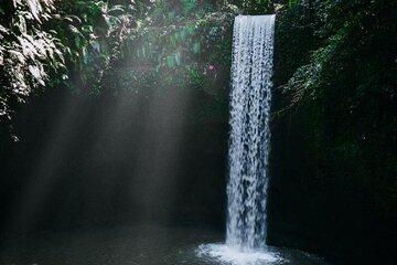 Ubud Hidden Waterfalls and Rice Terrace Tours