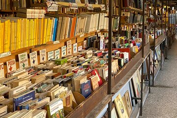 2 Hour Walking Tour at Lucca 