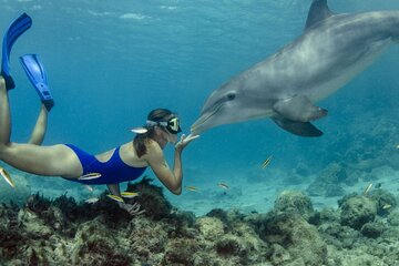 Dolphin House Full Day Snorkeling Sea Trip, Water Sports and Lunch - Hurghada