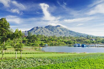 Private Tour: Bali Volcano with Jungle Swing Experience