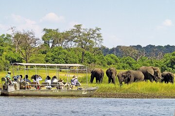 Chobe Day Trip From Livingstone