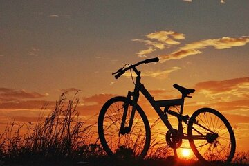 "Luxor's East Bank: Ancient Wonders by Bike (3-Hour Adventure)"