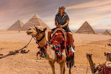 Private Half-Day Tour by CAMEL RIDE OR HORSE around Giza Pyramids