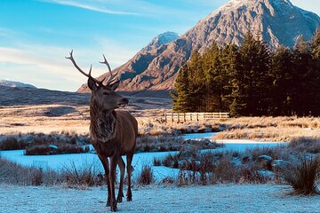 Private Scottish Highlands and Loch Ness Tour from Edinburgh