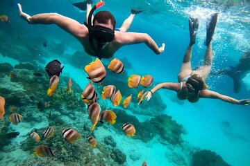 Blue Lagoon Snorkeling and Lunch - Ubud Monkey Forest - Waterfall