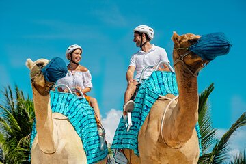 Camel Caravan Expedition and Beach Club with Transportation In Riviera Maya