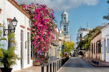 Full-Day Tour in Santo Domingo from Punta Cana with Lunch