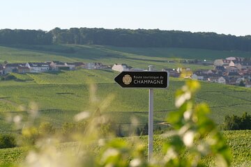 The Must-sees 3h30 from Epernay (Private Half day Champagne Tour)