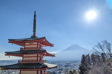 Private Day Tour from Tokyo: Customized Mount Fuji Highlights