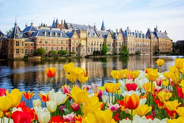 Rotterdam, Hague & Delft Private Tour from Amsterdam by Car