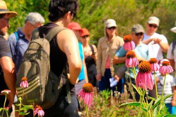 Aromatic Experience in the Medicinal Garden in Ibiza