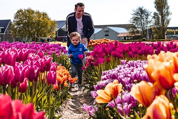 Keukenhof Gardens & Tulip Experience Tour from Amsterdam