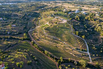 Porches Algarve Vineyard Tour and Wine Tasting Experience