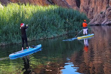 Inflatable Paddleboard Full-Day Rental - Transportation required