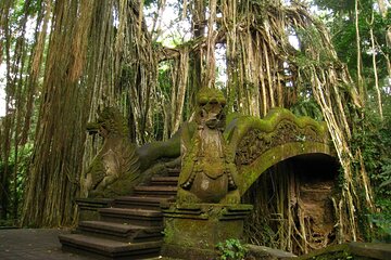 The Way To Explore Ubud with All Inclusive 