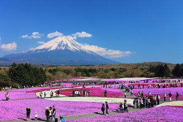 Mt. Fuji, Hakone Full-Day Private Tour with English Driver Guide