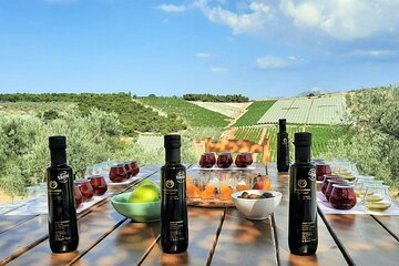 From Athens: Olive Oil Tasting, Olive Grove & Wine Experience
