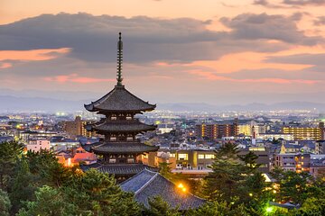 Nara Car Tour from Kyoto: English speaking Driver Only, No Guide