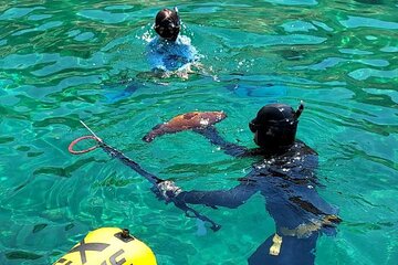 Spearfishing in Chania, Crete (price is per group)