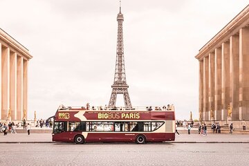 Paris private Open deck bus with cruise and louvre with Pick up