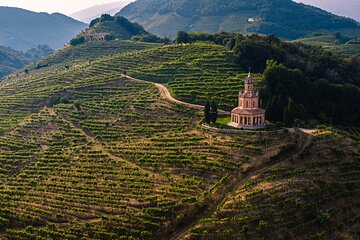 Private Guided Tour in Prosecco Hills of Venice