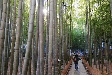 Private Old Temples Guided Tour in Kamakura