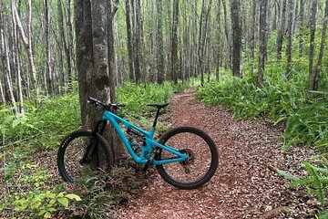 Maui MTB Singletrack on Mountain Bikes or Electric Mountain Bikes