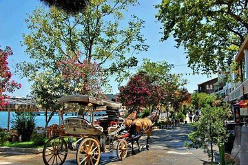 Istanbul Princes Island Tour with Lunch & Hotel Transfer