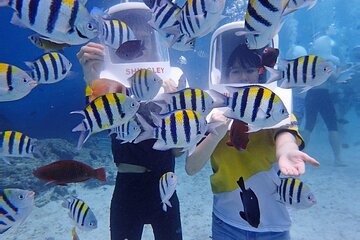 Boracay Helmet Diving