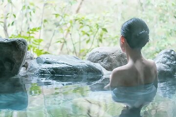 Full-Day Enoura Observatory and Hakone Hot Spring Private Tour