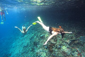 Snorkeling Day Trip to Nusa Lembongan and Nusa Penida