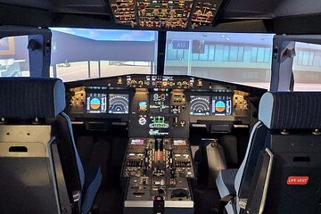 Become a Pilot for a Day in a Professional Airbus 320 Simulator