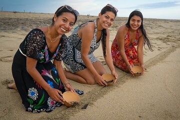 Baby Turtle Release Tour + Pick up + Courtesy in Puerto Escondido!