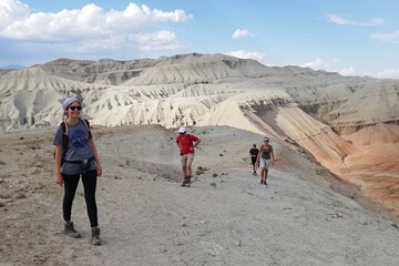 Altyn Emel National Park 2-day small-group jeep tour