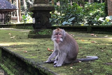 The Beautiful Nature of Ubud