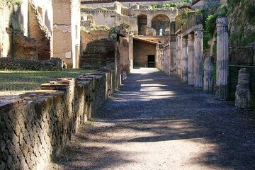 Herculaneum Archaeological Private Tour